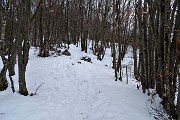57 Pestando neve in breve faggeta